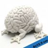 Petits mod�les  5'' Jumping Brain Diy (8x12.5cm)